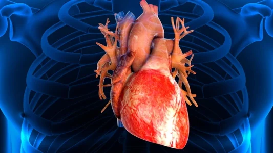 Pericardite: O que é, Causas, Sintomas e Como Tratar a Inflamação do Pericárdio